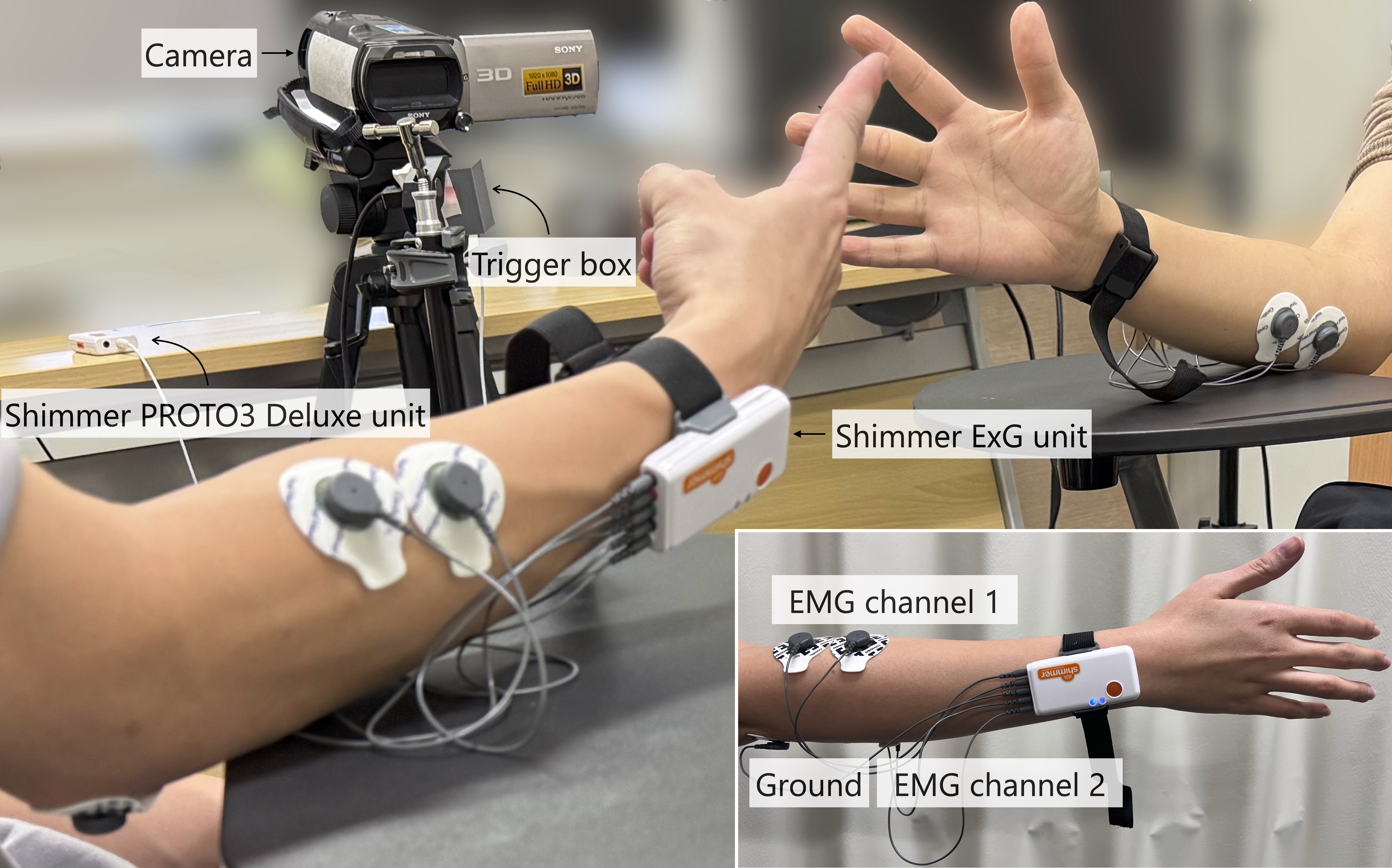 From the movement of my opponent: Temporal gesture recognition from electromyography in the Rock-Paper-Scissors game